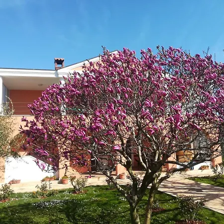 B&B Carmela-2